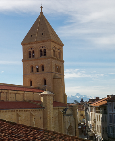 Image hover effect image